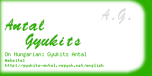 antal gyukits business card